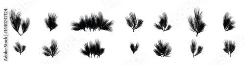 Real Christmas plants and floral patterns
vector illustration