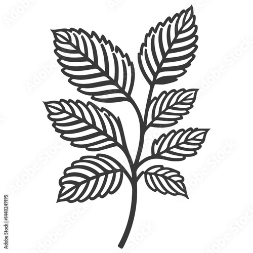 Minimalist botanical illustration showcasing symmetrical leaf arrangement on a stem