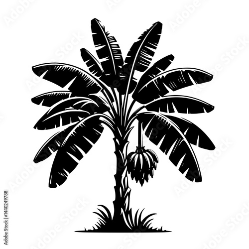palm tree silhouette