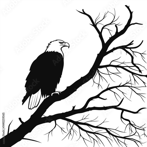 Bald eagle vector illustration perched on a winter tree branch silhouette
