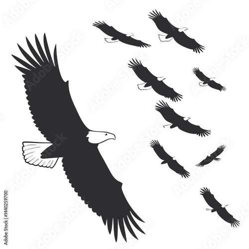 Eagle flock flying silhouette vector illustration on white background for design elements