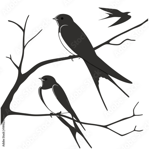 Silhouette illustration of barn swallows perched on branches with one bird flying away