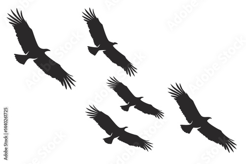 Silhouette of eagles flying in formation vector illustration graphic design template