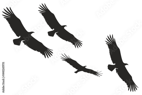 Silhouette vector illustration of four eagles in flight against a white background