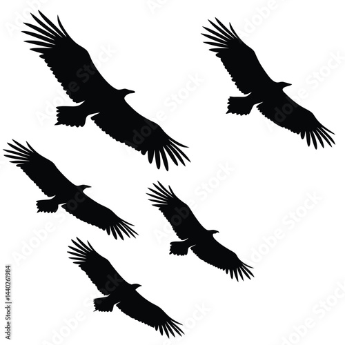 Silhouette vector of turkey vultures soaring against a white sky backdrop