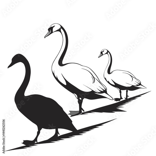 Stylized swans silhouette vector graphic group of three elegant birds