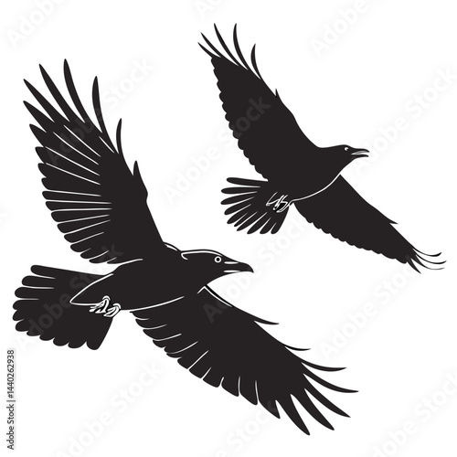 Two black ravens flying in opposite directions silhouette style vector