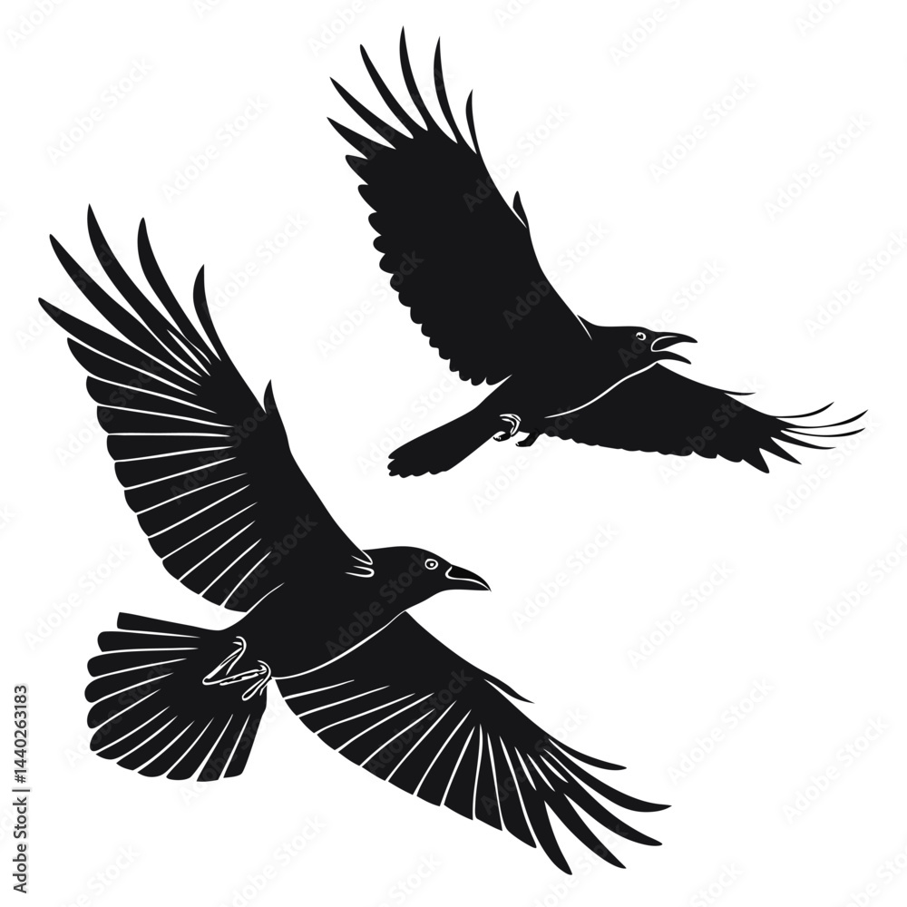 Obraz premium Two raven silhouettes in flight vector illustration isolated on white background