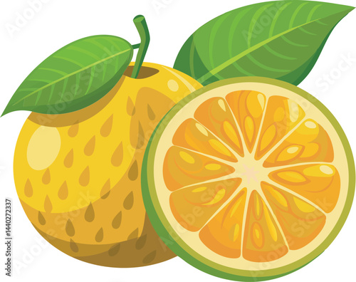 A vibrant vector art illustration of an Ugli fruit, showcasing its unique, wrinkled skin and fresh, juicy citrus appeal.