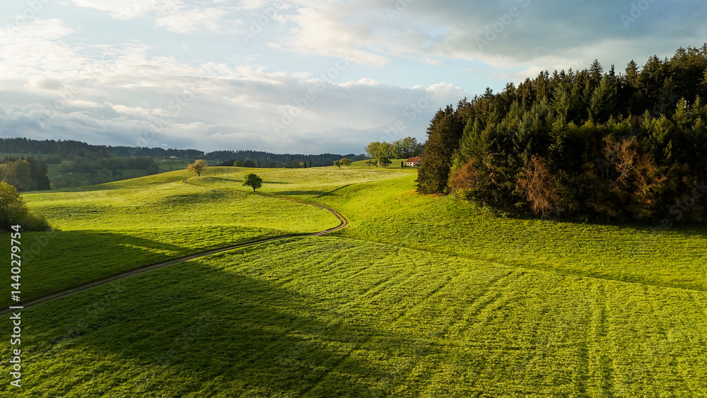Obraz premium Spring landscape of rolling hills and forest near Allgäu, southern Germany, Bavaria