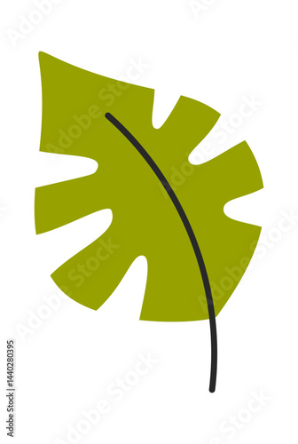 Tropical palm leaf hand drawn