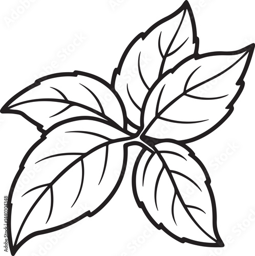 basil leaves line art, black outline, vector and illustration, coloring book page line art drawing