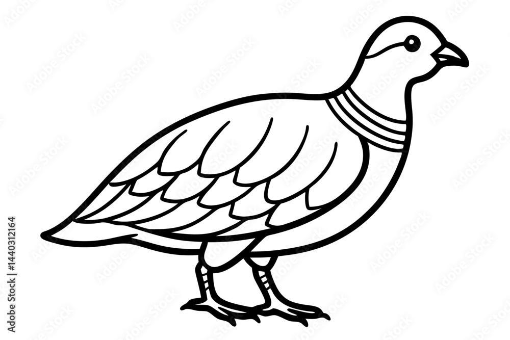 Fototapeta premium Minimalist Quail Vector