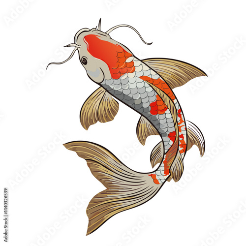 illustration of a koi fish vector graphic design