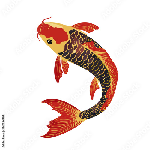 illustration of a koi fish vector graphic design