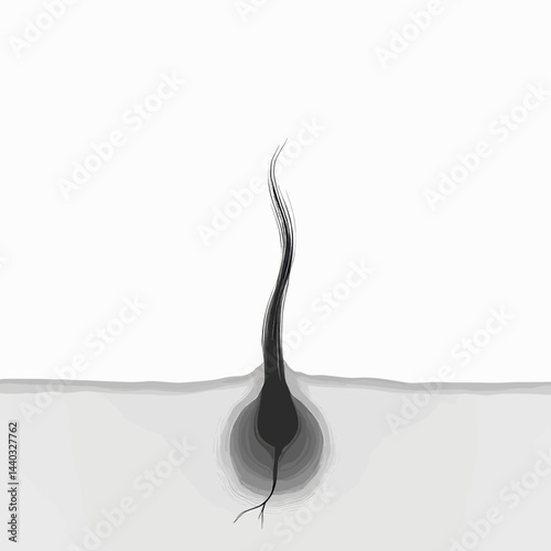 Ingrown hair follicle in gray scale illustration
