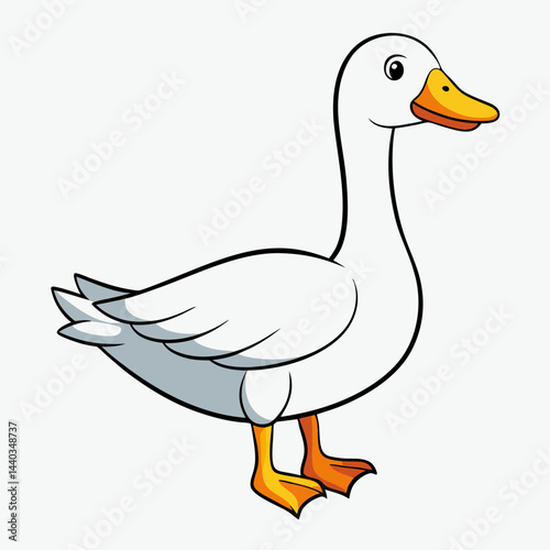 duck on white background