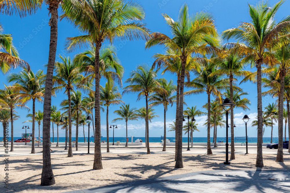 Palm trees in beach park and tropical sea, Las Olas Oceanside Beach, Fort Lauderdale, Florida