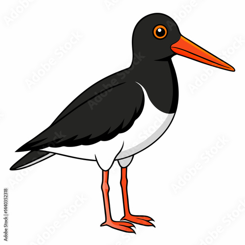 black stork isolated on white background