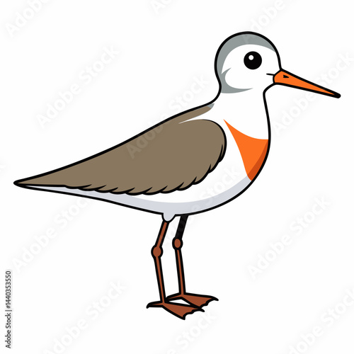 vector illustration of a bird