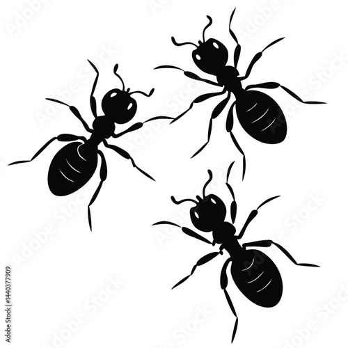 Three Black Ant Silhouettes on White Background