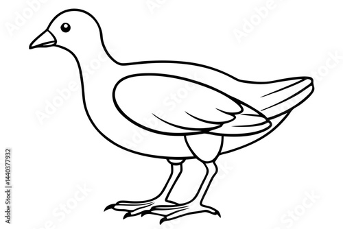 Moorhen Outline Illustration