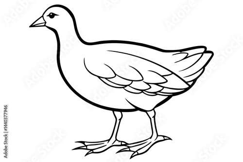 Moorhen Outline Illustration