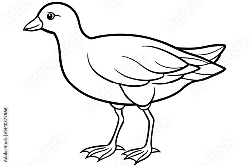 Moorhen Outline Illustration