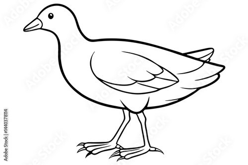 Moorhen Outline Illustration