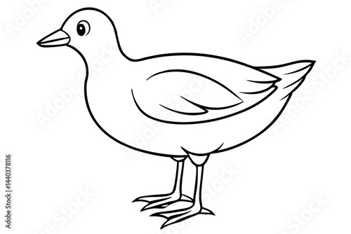 Moorhen Outline Illustration
