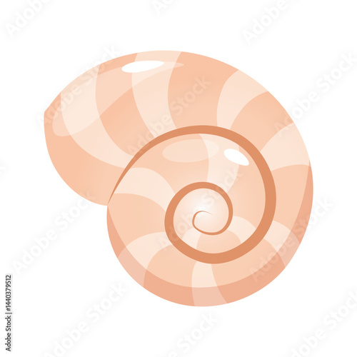 Vector illustration of seashell isolated on white background. Marine accessories