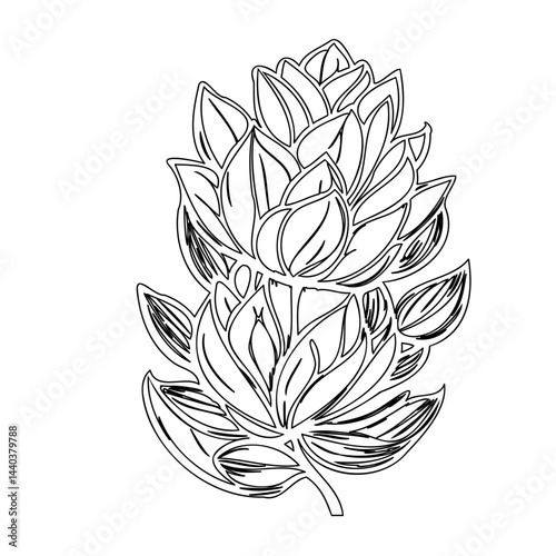 Artistic depiction of layered floral form showcasing organic line work