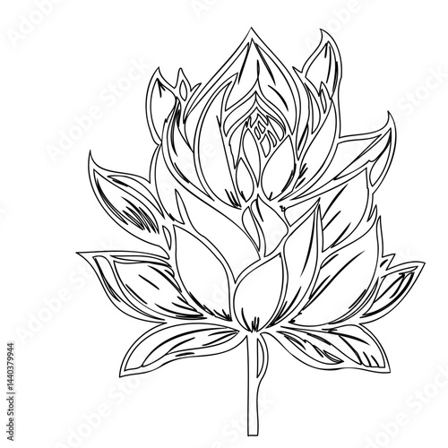 Detailed outline illustration of a water lily blossom, hand drawn, minimalistic style