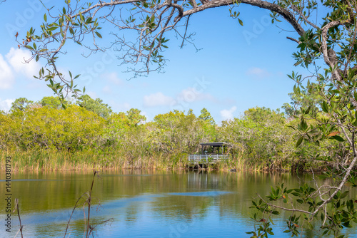 View of the Blue Hole an its wildlife observation platform, Big PIne Key, Florida