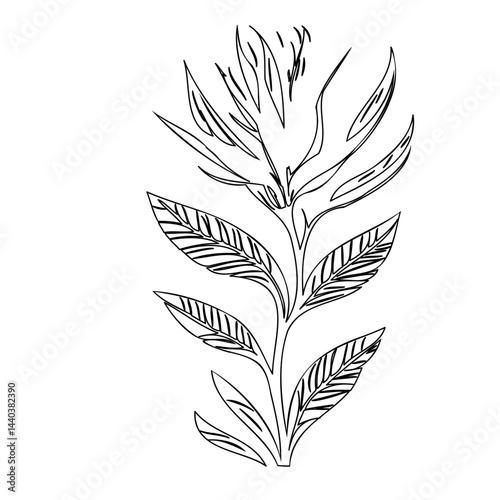 Elegant botanical illustration featuring a unique stylized floral arrangement