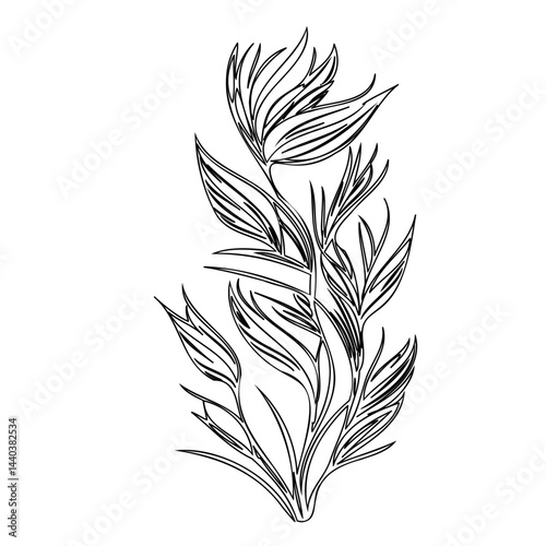 Elegant botanical illustration featuring stylized foliage and minimalist composition