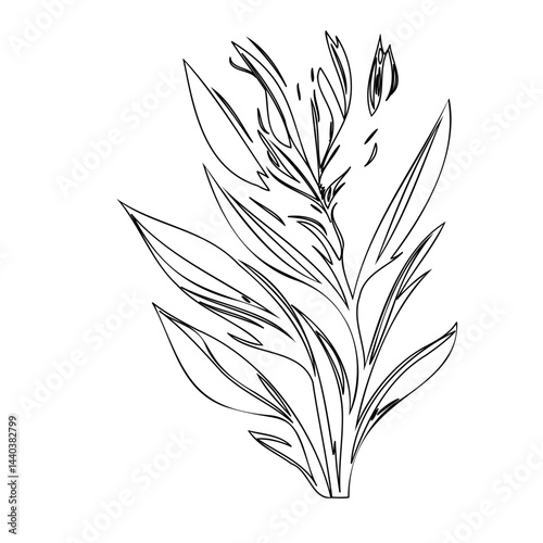 Elegant plant illustration conveying nature's beauty with its graceful lines