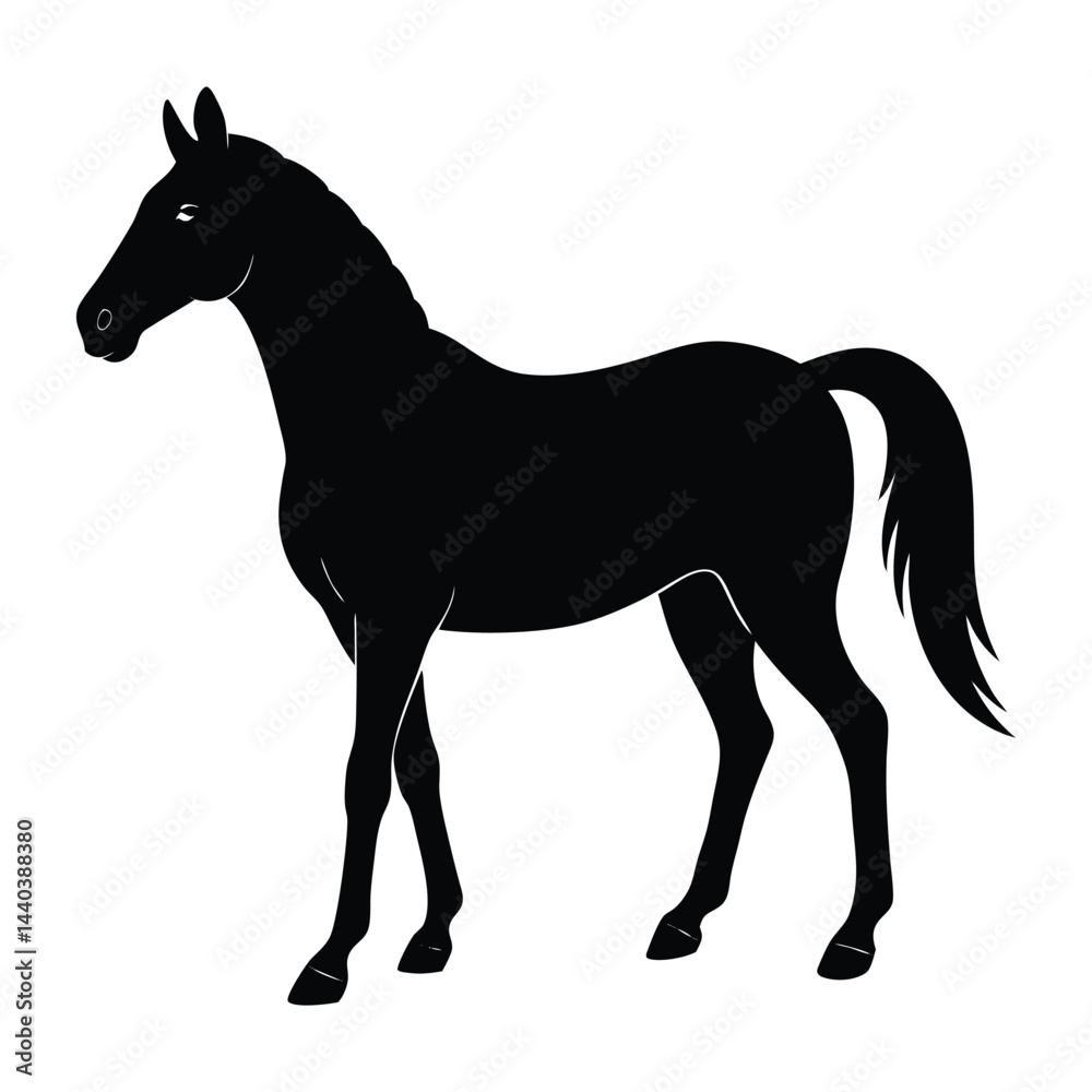 Obraz premium Silhouette of a Walking Horse on a White Background