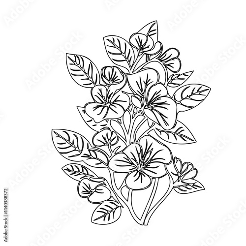 Elegant botanical illustration featuring delicate floral arrangement in black outlines