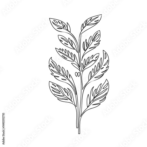 Elegant Botanical Illustration: Delicately Drawn Branch with Feathered Foliage