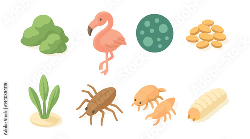 Wildlife ecosystem icons set – flamingo, algae, bacteria, coins, seaweed, insects, larvae
