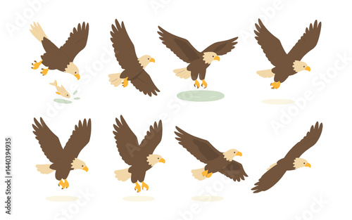 Eagle dynamics icons set – soaring, landing, flying, perched, hunting, wing, raptor, bird, wildlife, nature