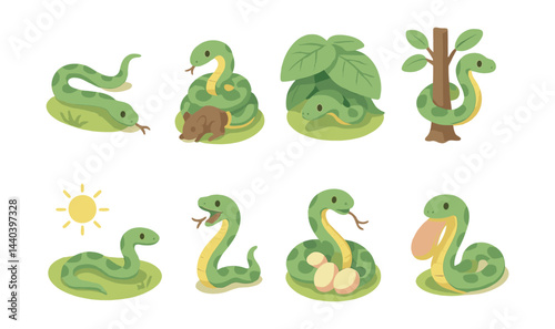 Snake behavior icons set – curled, hunting, hiding, coiled, basking, egg-guarding, hissing