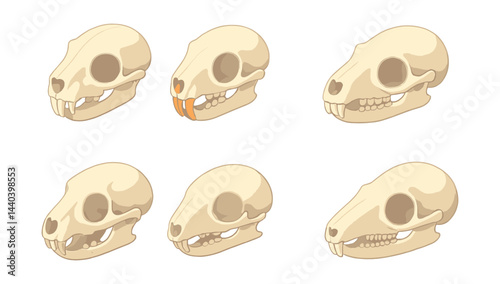 Animal skull icons set – rodent, canine, feline, anatomy, bone, teeth, fossil, evolution
