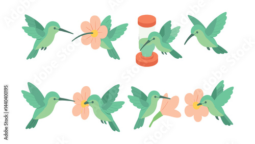 Hummingbird icon set – flight, flower, nectar, tropical birds, pollination, time, nature