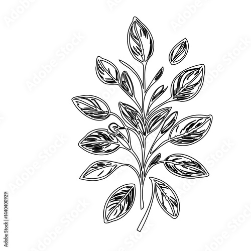 Stylized botanical illustration showcasing graceful leaves and delicate stems