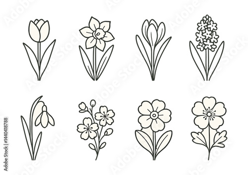 Spring flower icons set – tulip, daffodil, crocus, hyacinth, snowdrop, blossom, primrose, buttercup