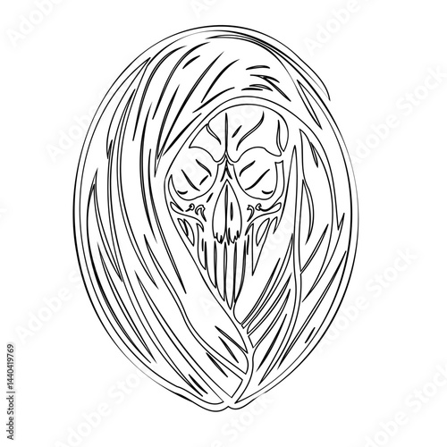 Abstract monochromatic skull figure within shroud, artistic line rendition