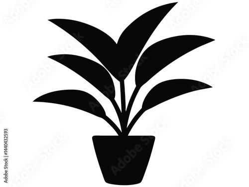 Rubber tree plant in a potted silhouette, Potted plant with rubber plant silhouette potted black vector