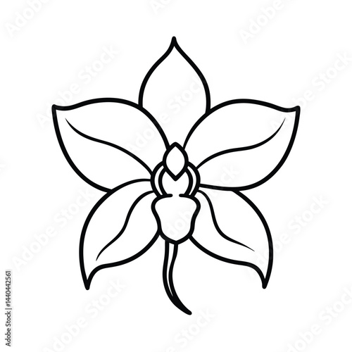 Wallpaper Mural Simple Line Drawing Orchid Flower Torontodigital.ca